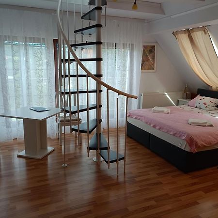 Pension Donaublick Grein 2 In Stifterstrasse19. Διαμέρισμα Εξωτερικό φωτογραφία