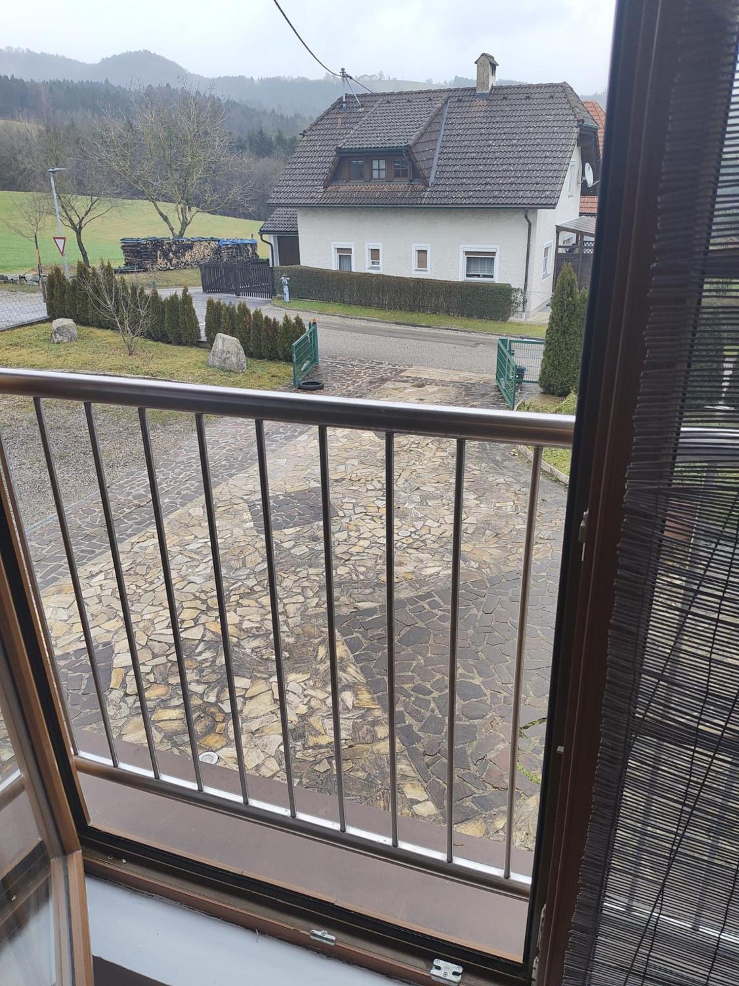 Pension Donaublick Grein 2 In Stifterstrasse19. Διαμέρισμα Εξωτερικό φωτογραφία