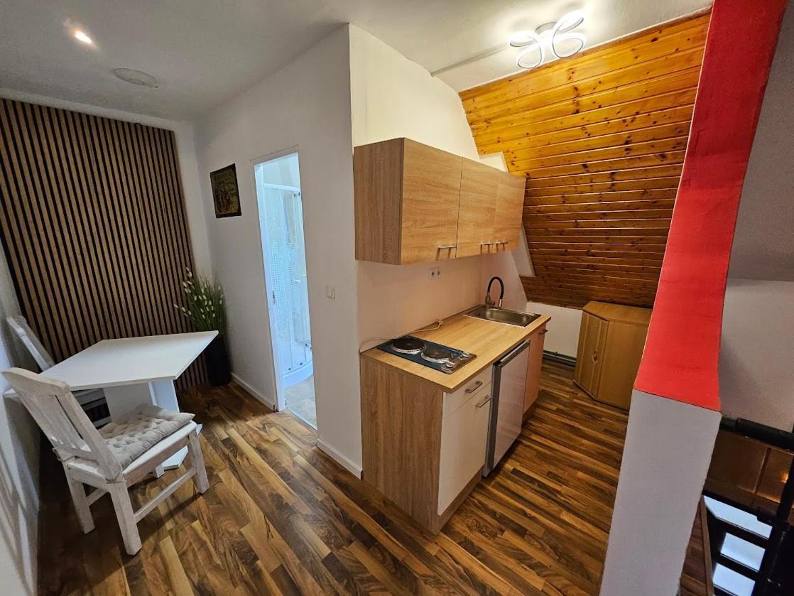 Pension Donaublick Grein 2 In Stifterstrasse19. Διαμέρισμα Εξωτερικό φωτογραφία