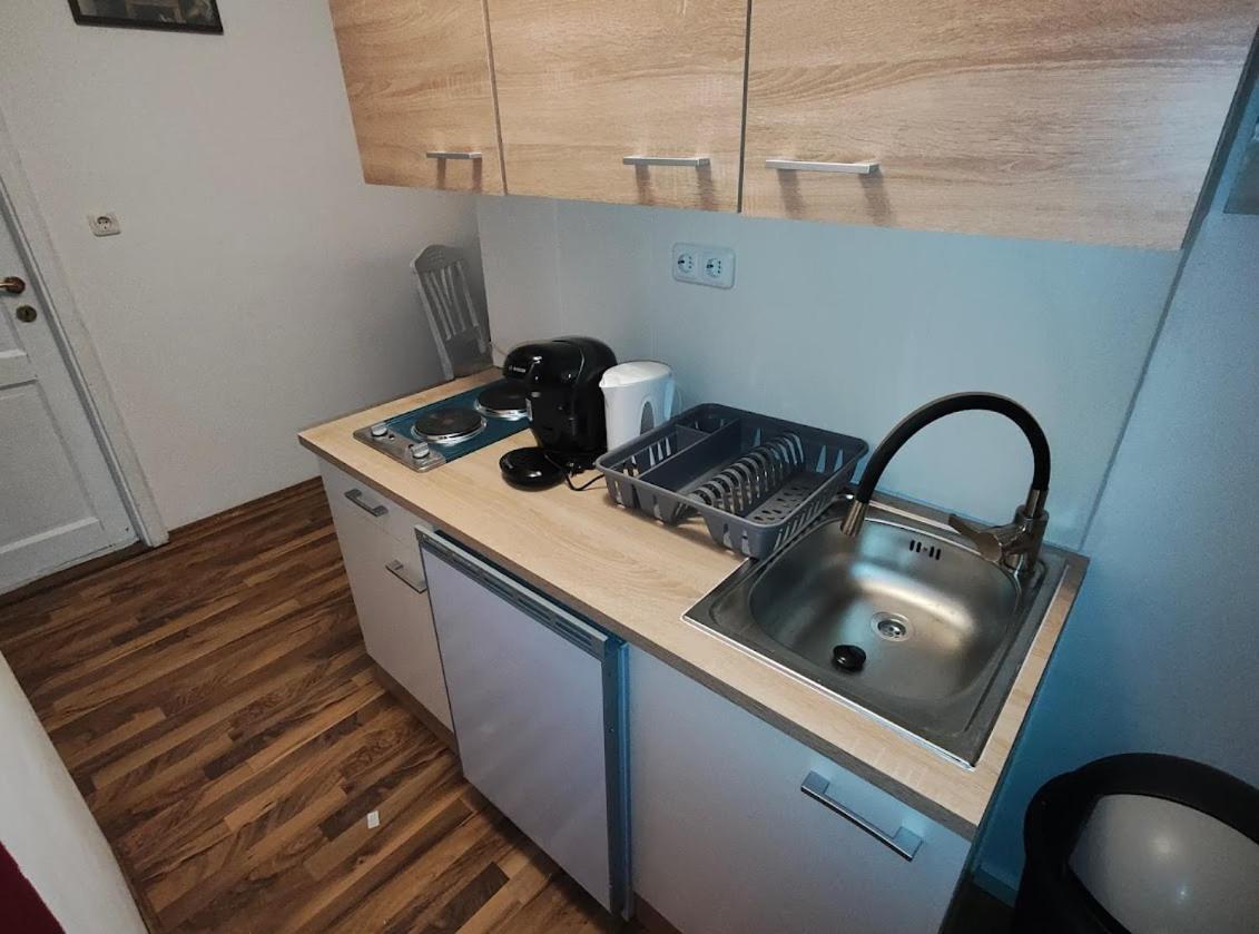 Pension Donaublick Grein 2 In Stifterstrasse19. Διαμέρισμα Εξωτερικό φωτογραφία