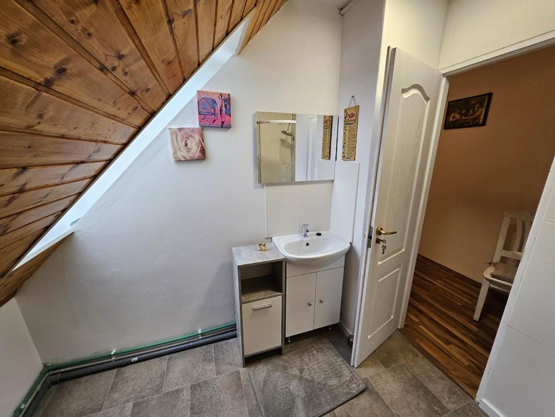 Pension Donaublick Grein 2 In Stifterstrasse19. Διαμέρισμα Εξωτερικό φωτογραφία