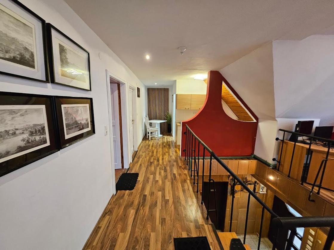 Pension Donaublick Grein 2 In Stifterstrasse19. Διαμέρισμα Εξωτερικό φωτογραφία