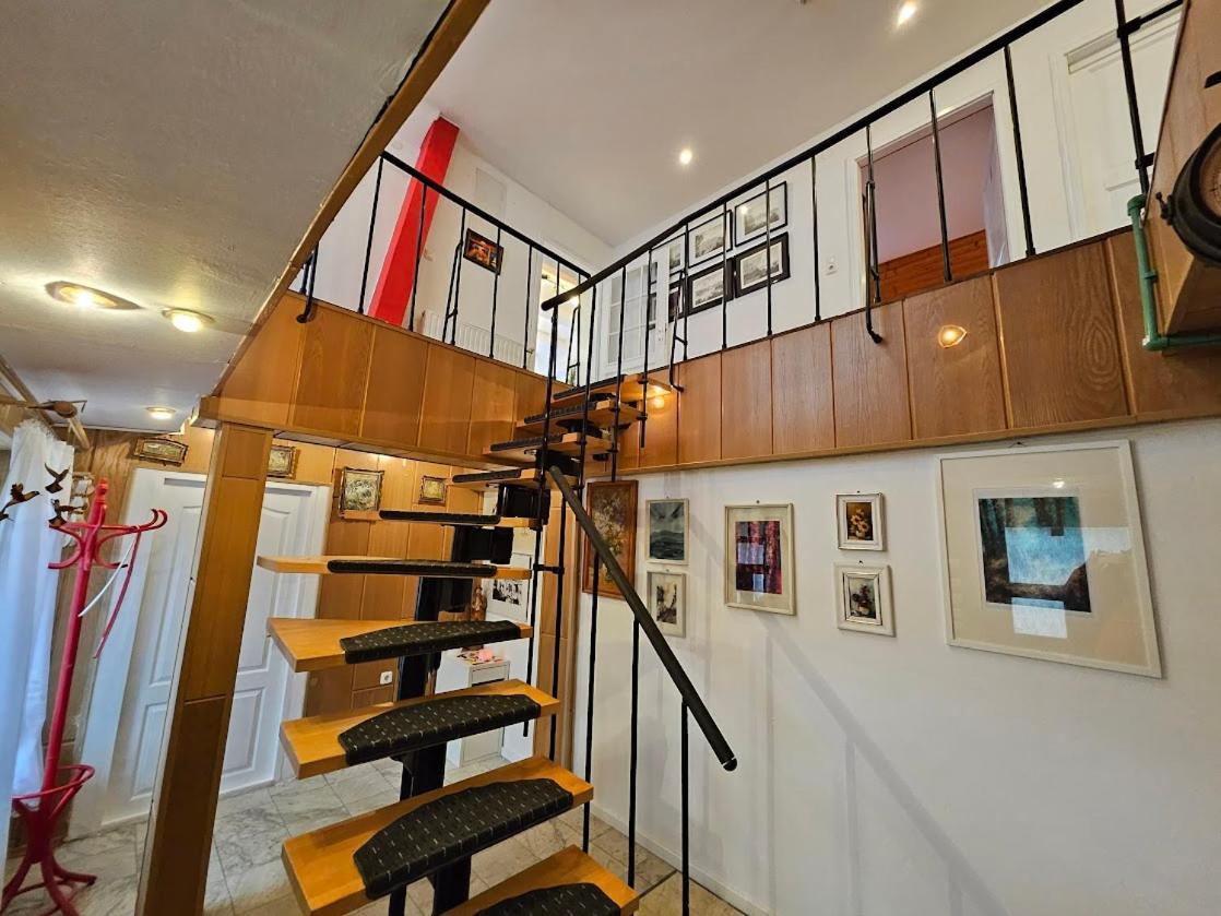 Pension Donaublick Grein 2 In Stifterstrasse19. Διαμέρισμα Εξωτερικό φωτογραφία
